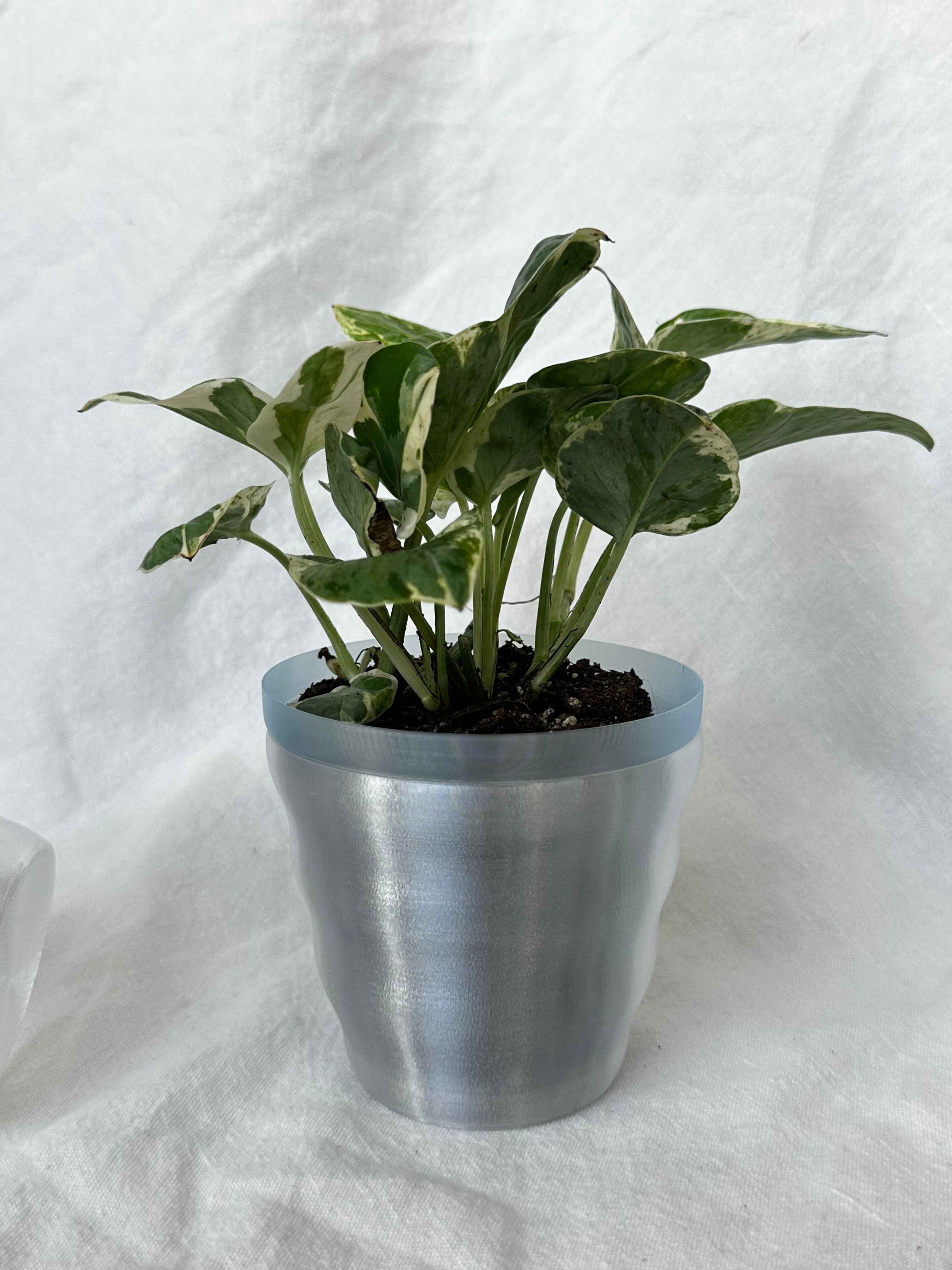 Ripple Planter